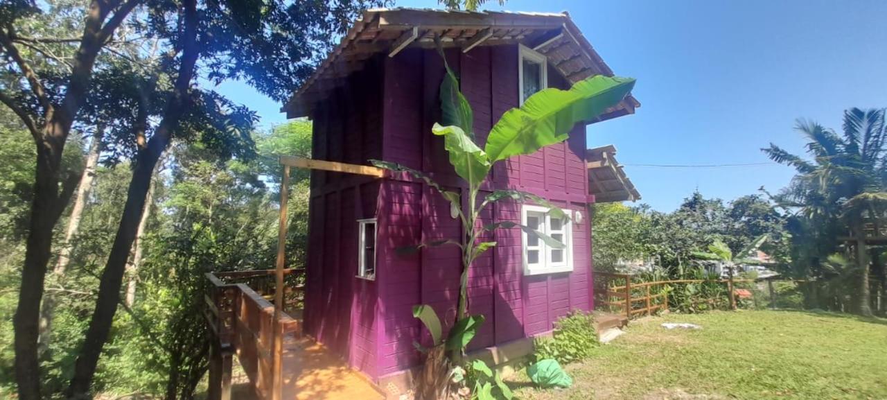 Violeta Aquarela Bombinhas Villa Bagian luar foto