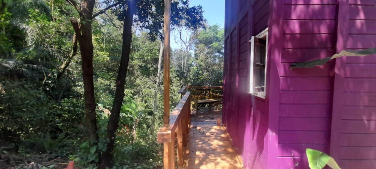 Violeta Aquarela Bombinhas Villa Bagian luar foto